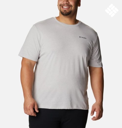 Men's Columbia Thistletown Hills Short Sleeve T Shirts Light Grey | Plus Size CA-SAC08